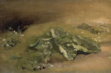 Un estudio de bardana